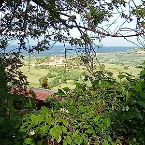 Appartamento Casa Morelli, Montalbo